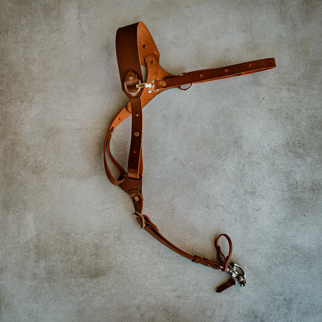 Leather camera Harness