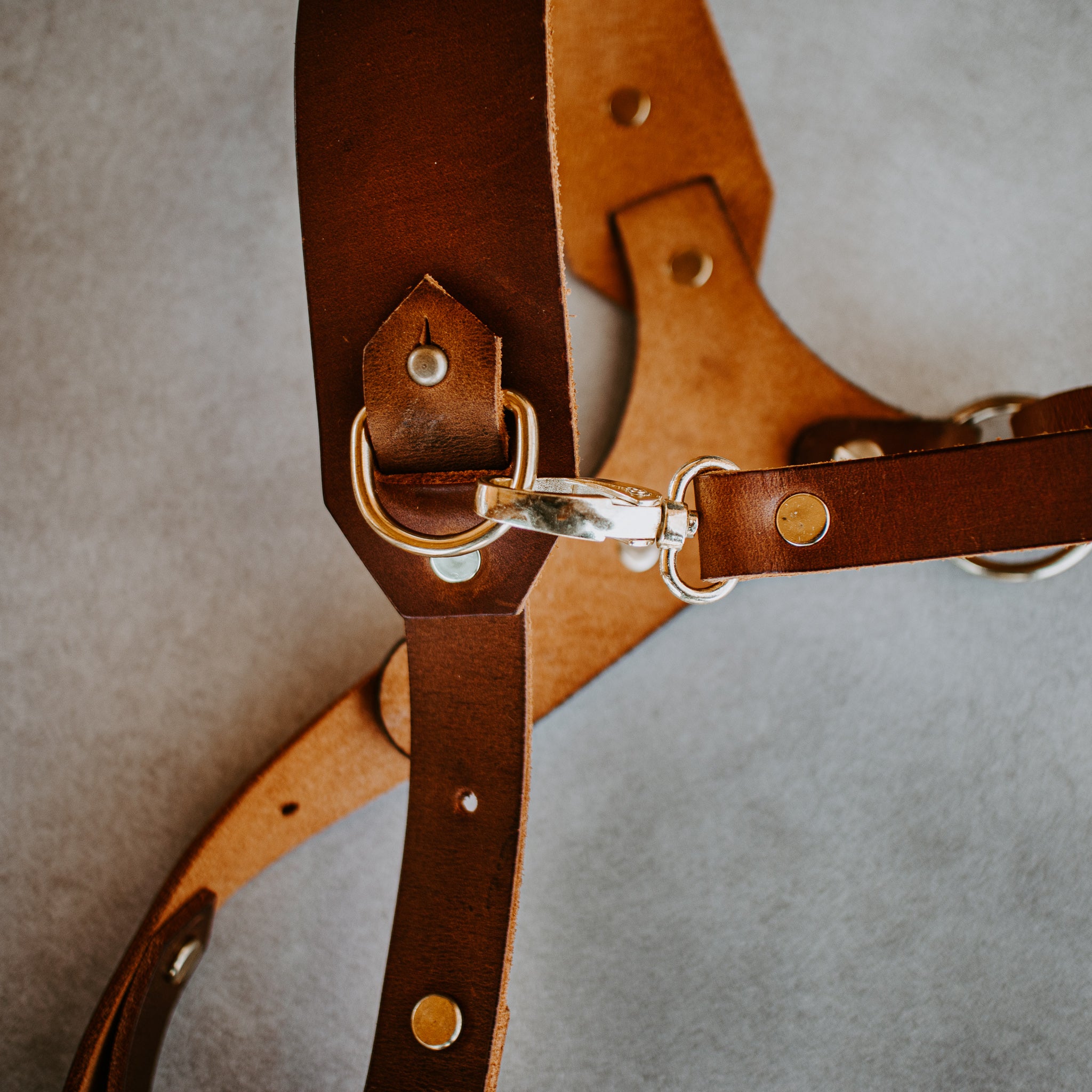 The Wilder Camera Harness - Solo