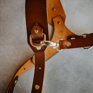 The Wilder Camera Harness - Solo